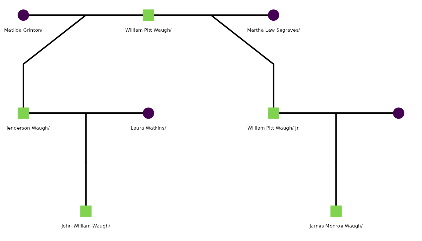 Pedigree plot of the Waugh family sample showing William Pitt Waugh Sr. at top with two branches: the focal person's Y line through W. Henderson Waugh on the left, and the Segraves Y-DNA candidate branch through William Pitt Waugh Jr. on the right.
